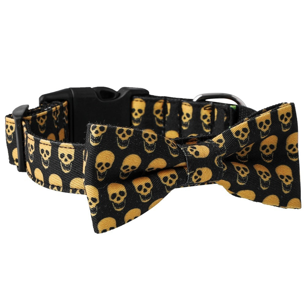 Collar y Correa Con Accesorios
