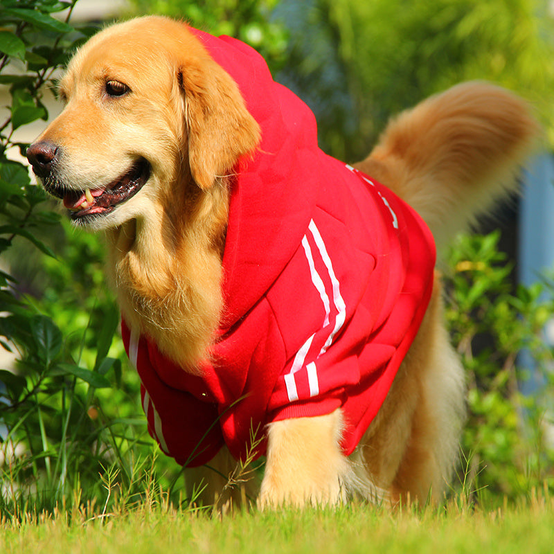 Sudadera Para Perros