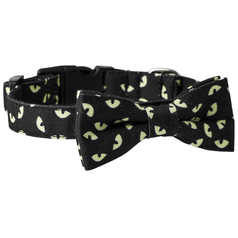 Collar y Correa Con Accesorios