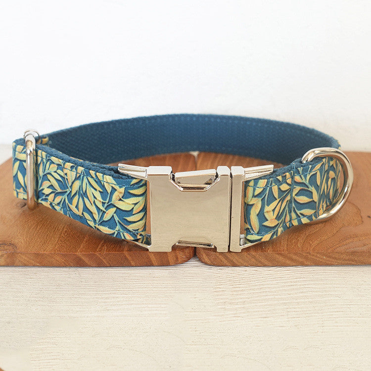 Collar De Mascota Y Correa