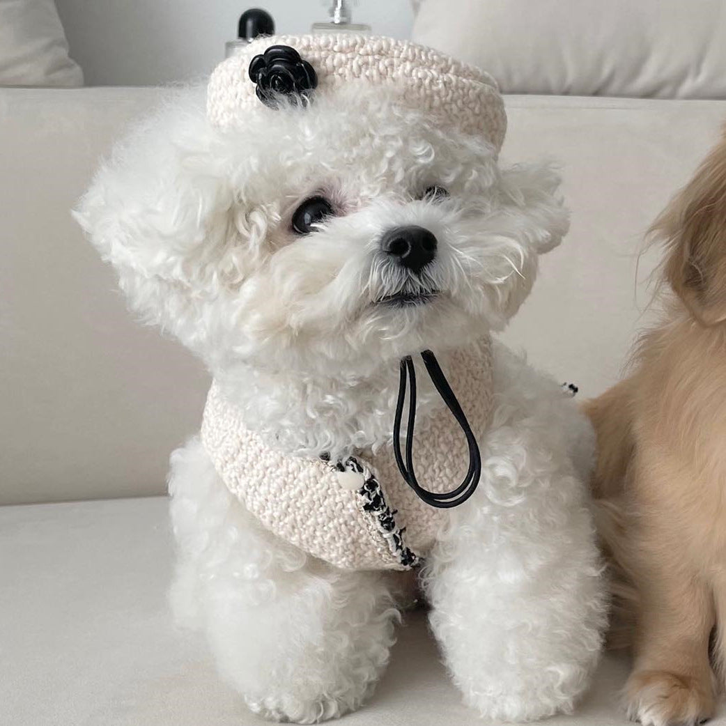 Abrigo Para Perros Y Gatos