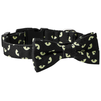 Collar y Correa Con Accesorios