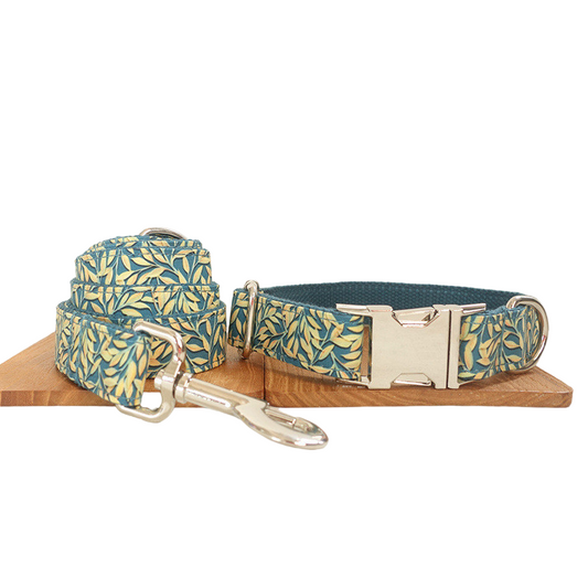 Collar De Mascota Y Correa